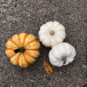 Meet your Posher, Ari